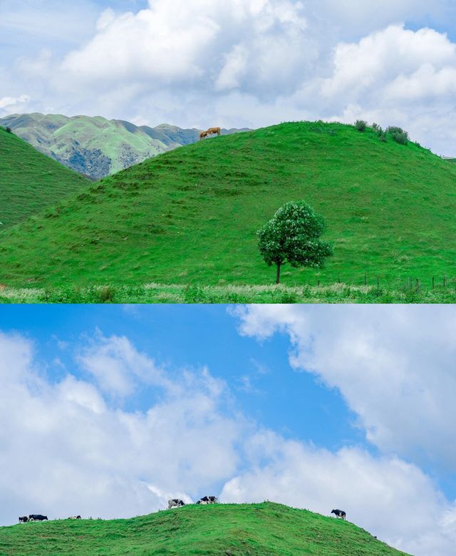 城步南山位於邵陽，是一處與天相連的山脈，雲海的彼端