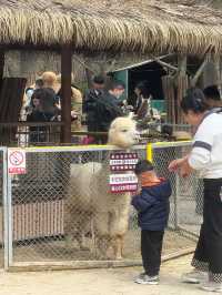 濟南一日遊好去處｜動物園裡有什麼