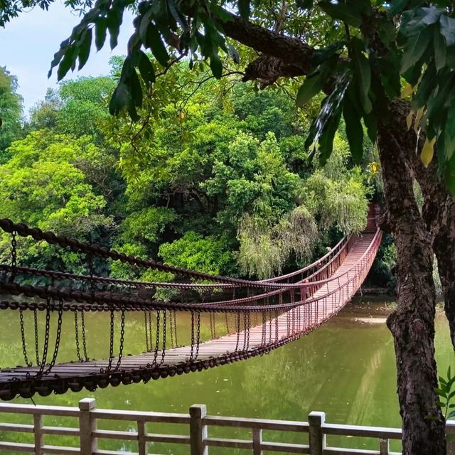 深圳東湖公園｜大自然的能量場