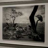 A Stunning Exhibition by Hiroshi Sugimoto