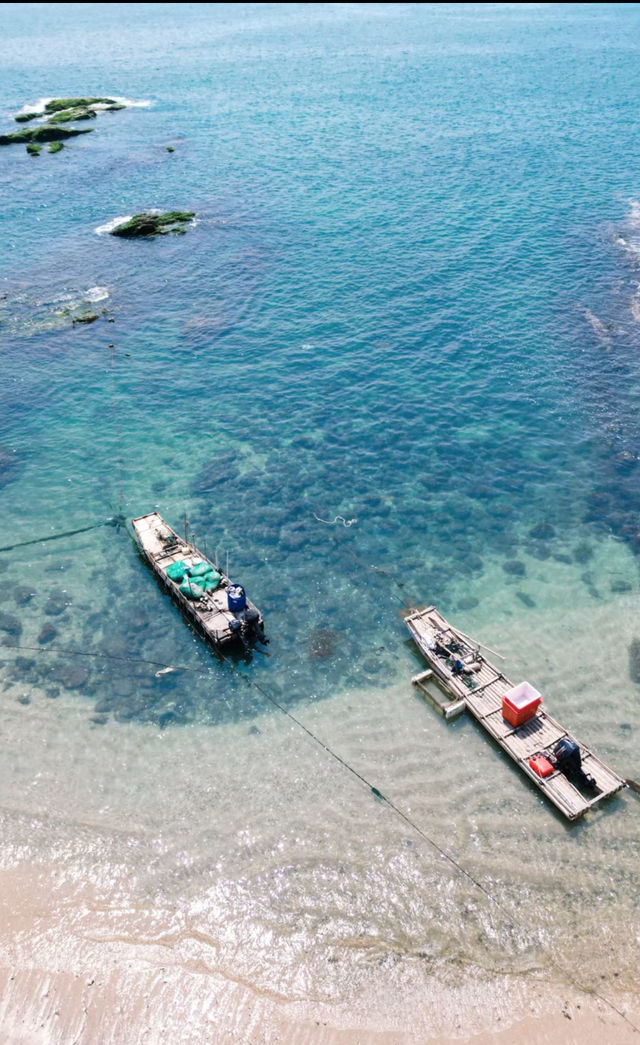 惠州小眾海邊露營趕海