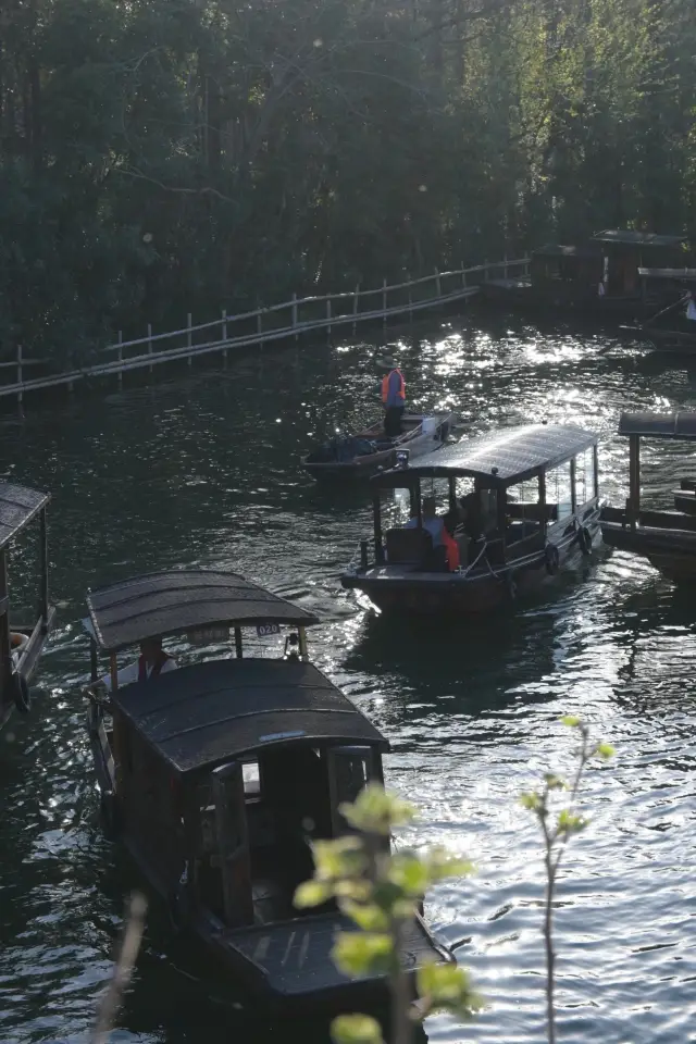 Just returned from Wuzhen, sharing a super detailed guide for a late evening visit