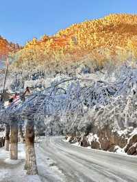 江西·庐山｜保姆級兩日觀雪攻略 山巔雪城||