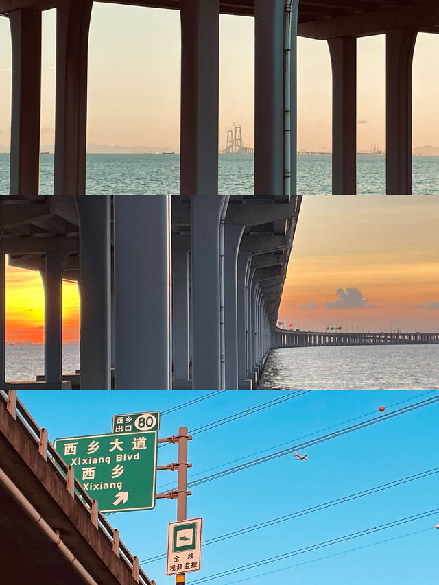 這裡是三亞|深圳海濱生態公園遊玩攻略