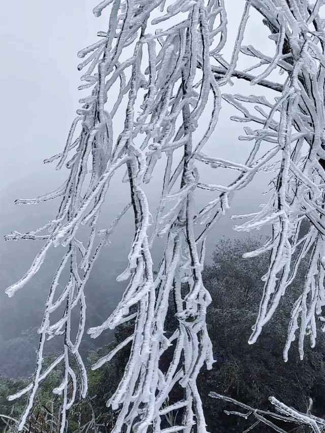 大容山雪冰景