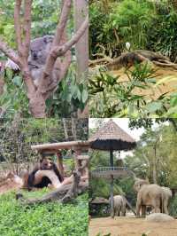 攻略！1日遊長隆野生動物園+熊貓酒店