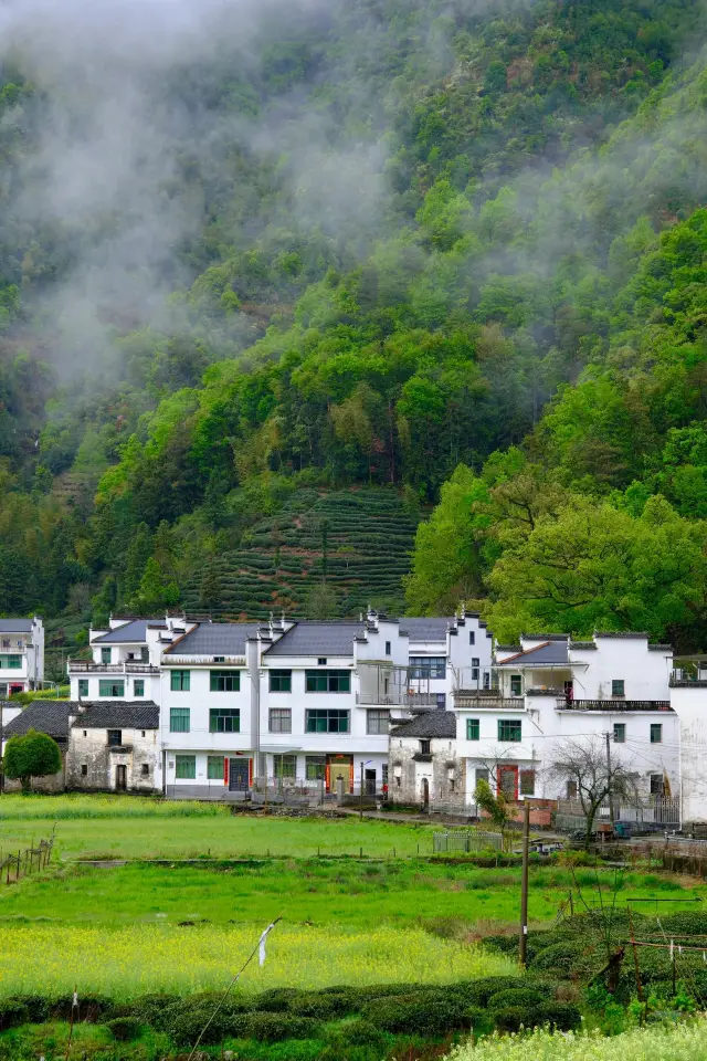 After all, I caught the last bus of spring in Wuyuan