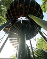 觀光新加坡的雙溪布洛濕地天然公園