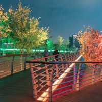 來過這裡以後才明白深圳的公園有多捲