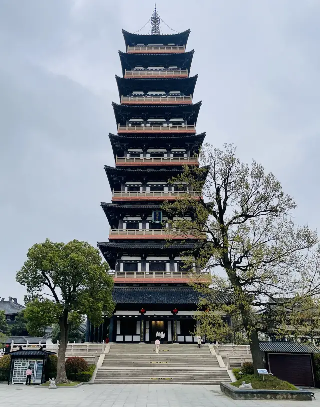 Strolling through Daming Temple to admire the cherry blossoms