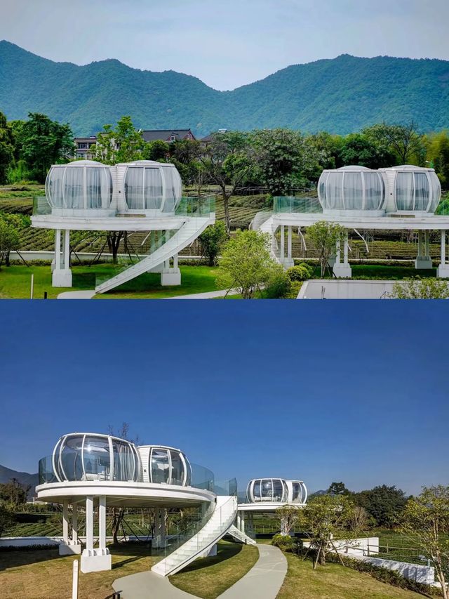 這裡滿是負氧離子爆棚的新鮮空氣，光是看著