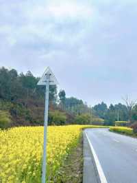 四川樂山嘉陽小火車｜開往春天的列車