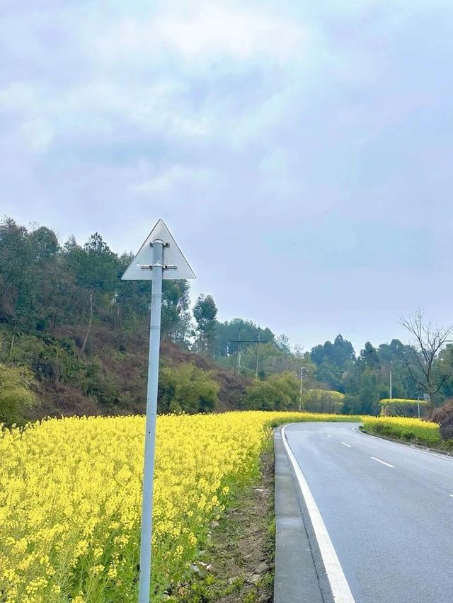四川樂山嘉陽小火車｜開往春天的列車
