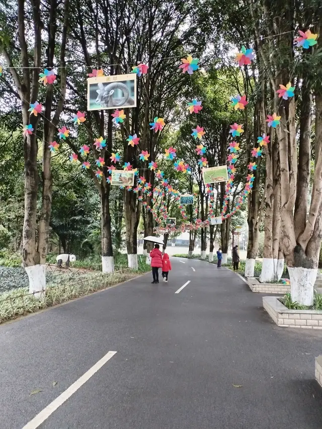 自我療癒，去南寧動物園泡上一天吧