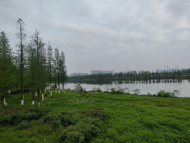 江西南昌 象湖濕地公園 洗肺絕佳地