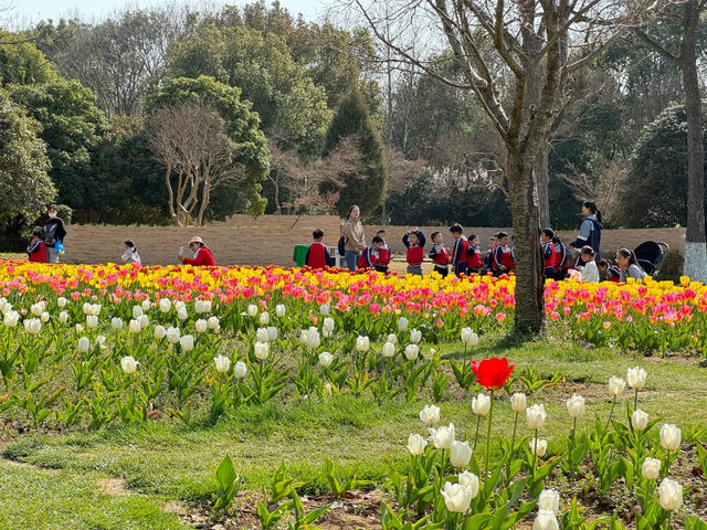 一定要去中山植物園