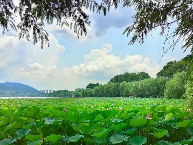 雲龍湖景区～湖光山色間の自然の美しさ～