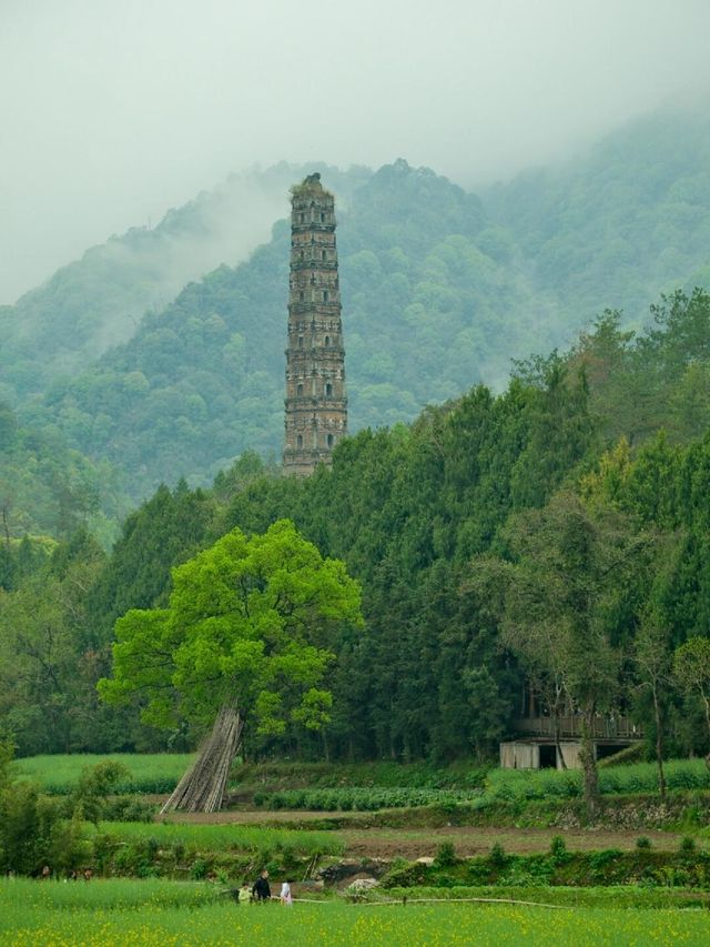 台州旅遊寶藏攻略