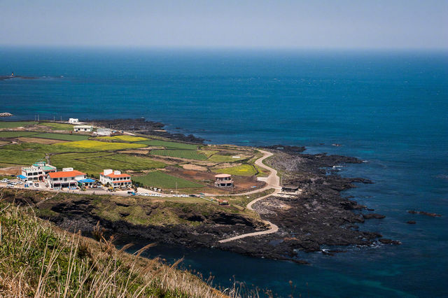 濟州牛島