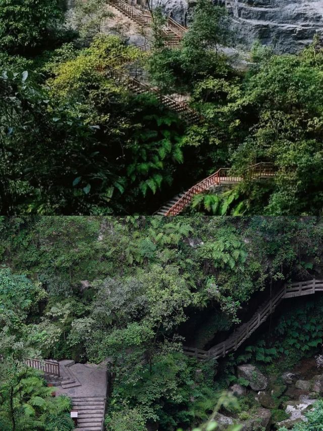 遊龍水峽地縫，開啟一場地心之旅