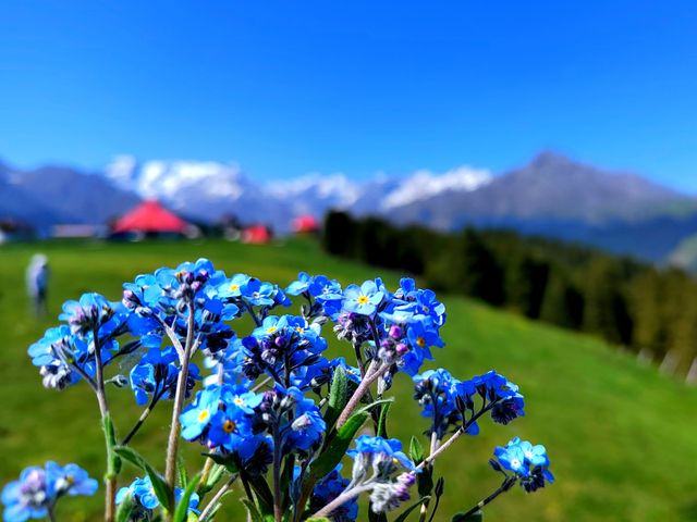 鹿角灣風景區