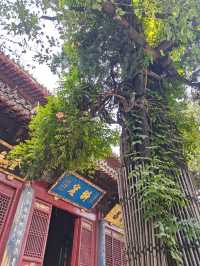 洛陽3日遊——值得體驗的歷史與美食