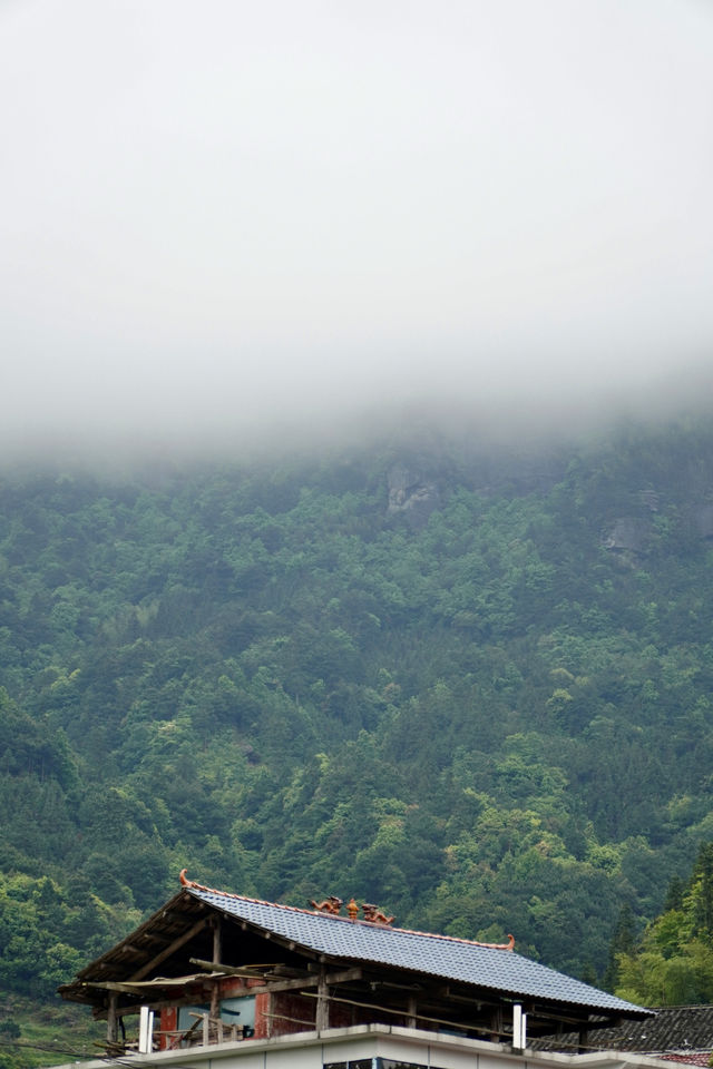 柳州融水 | 3H可達，找個週末去山裡放空