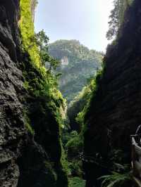 閃避！武隆天生三橋、仙女山