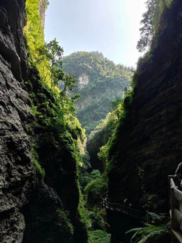 閃避！武隆天生三橋、仙女山