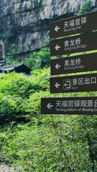 重慶｜天生三橋  仙女山
