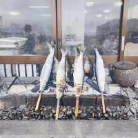 嘗嘗日本北海道古法烤魚（喜知次魚）