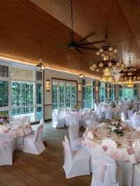 🌴✨ Coorg's Wilderness Luxury: Top Hotel Picks! ✨🌴