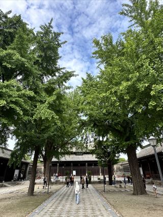 壽縣24h | 城牆上是歷史城牆下是煙火