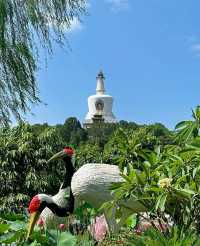 這個夏天怎麼能不去趟北海公園呢!