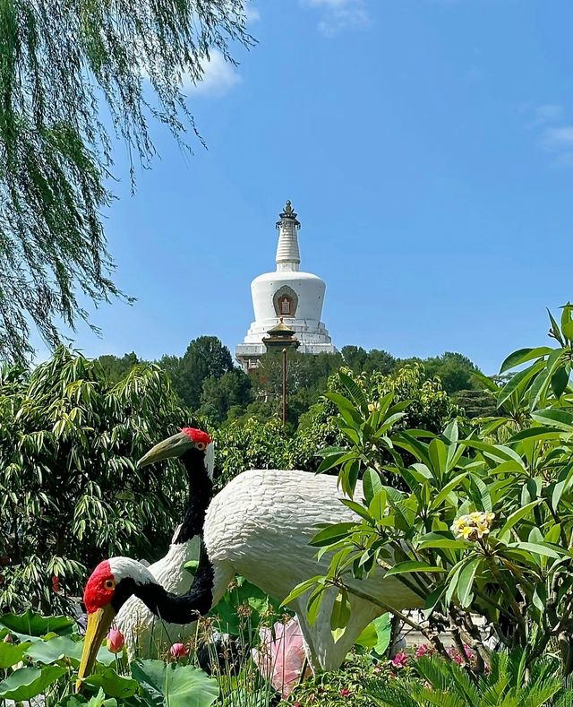 這個夏天怎麼能不去趟北海公園呢!