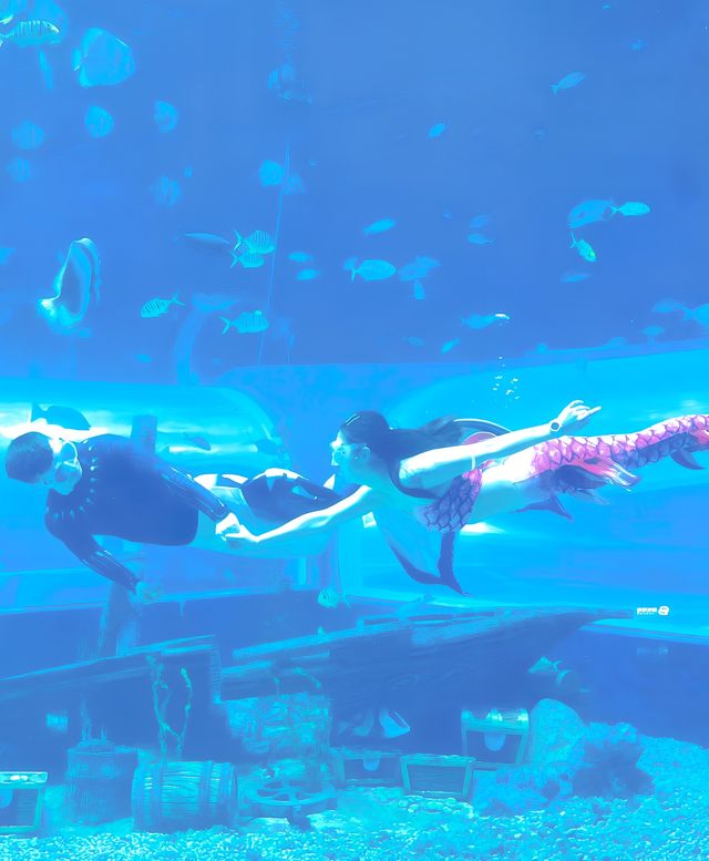 兰州海洋公園海洋公園