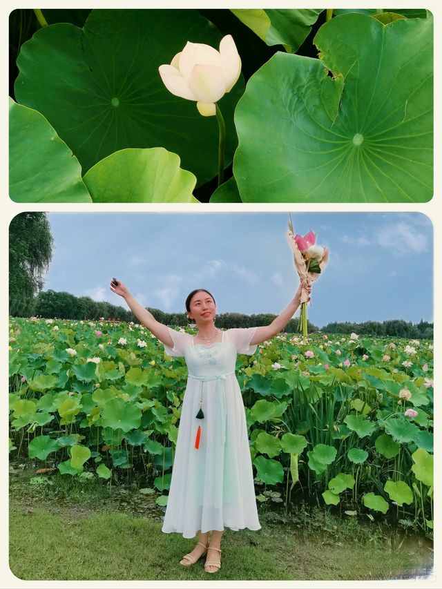 與夏同行，在固城湖無邊荷塘！！！