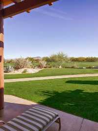 🌵 Scottsdale's Oasis: Top Hotel Picks! 🏨✨