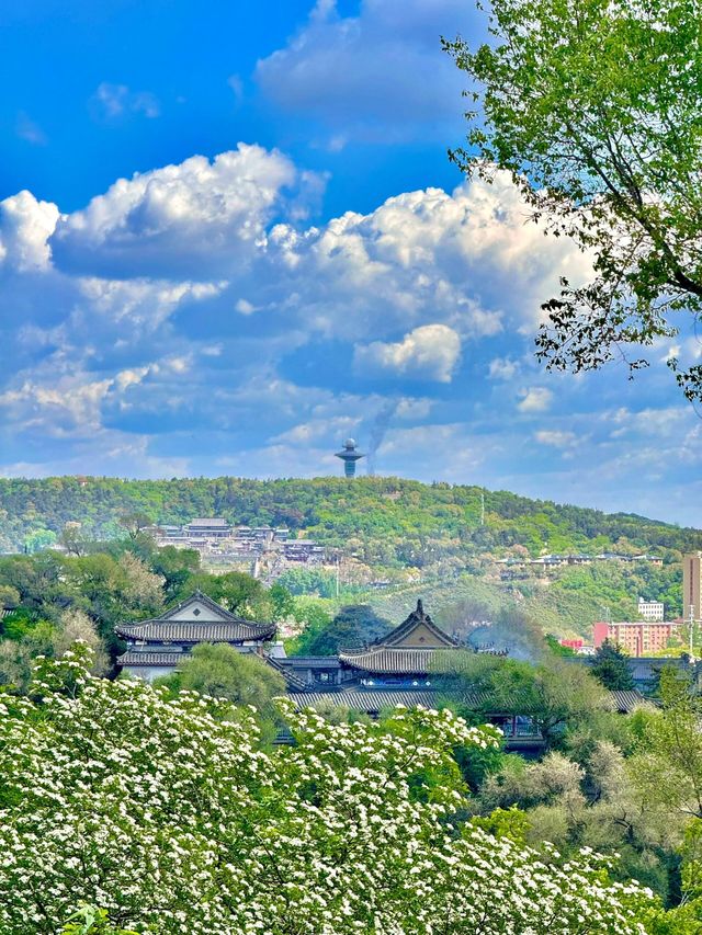 吉林市丨北山公園