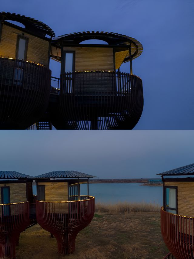 江浙周邊遊！15000㎡星空樹屋！枕星星入眠