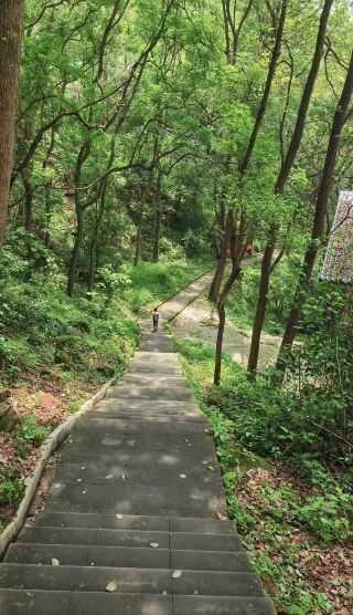 Chongqing version of 'Little Huashan' - 4-hour oxygen trail