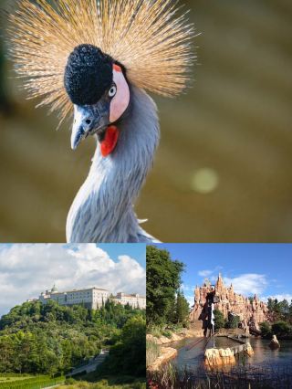 Sandton Montecasino Bird Gardens, Two-Day Tour Guide is here!