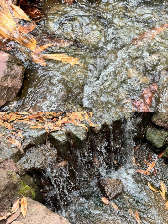 徐州周邊遊:逃離城市森林氧吧 徐州周邊遊:逃離城市森林氧吧