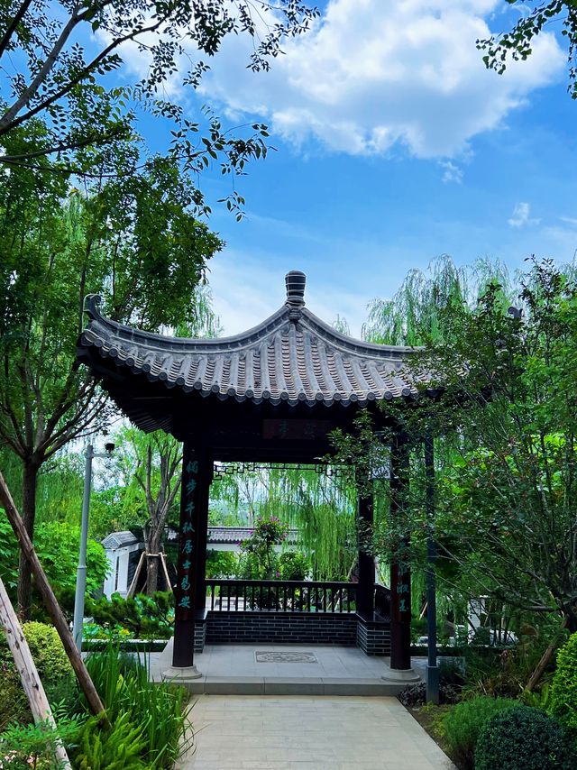 來成都，看世界