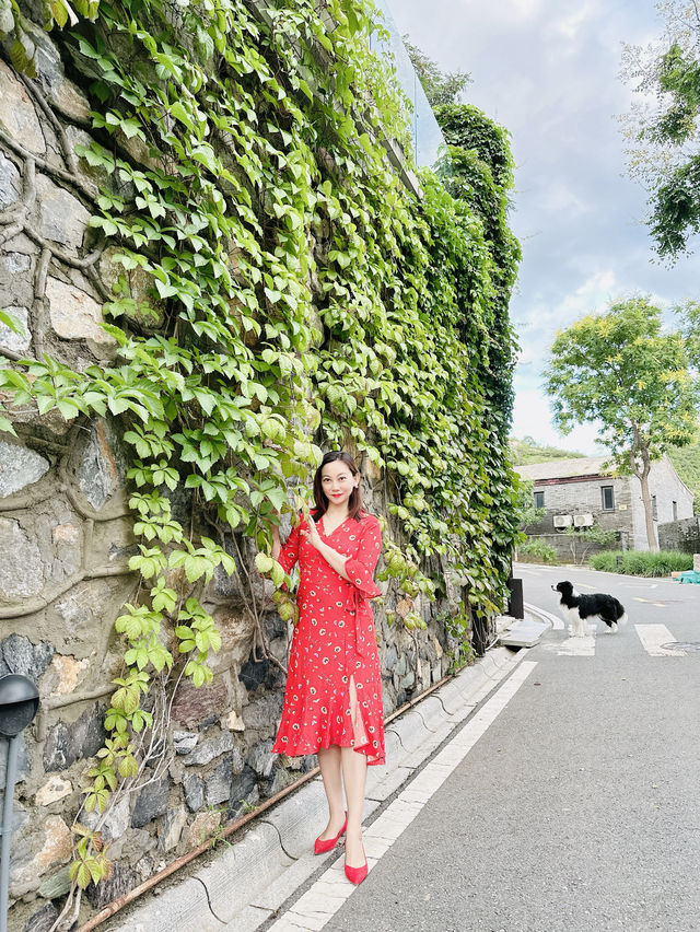 門頭溝紫旸山莊裡的范尼小院