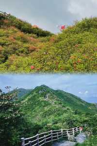爬山日記|大圍山(長沙周邊遊)。