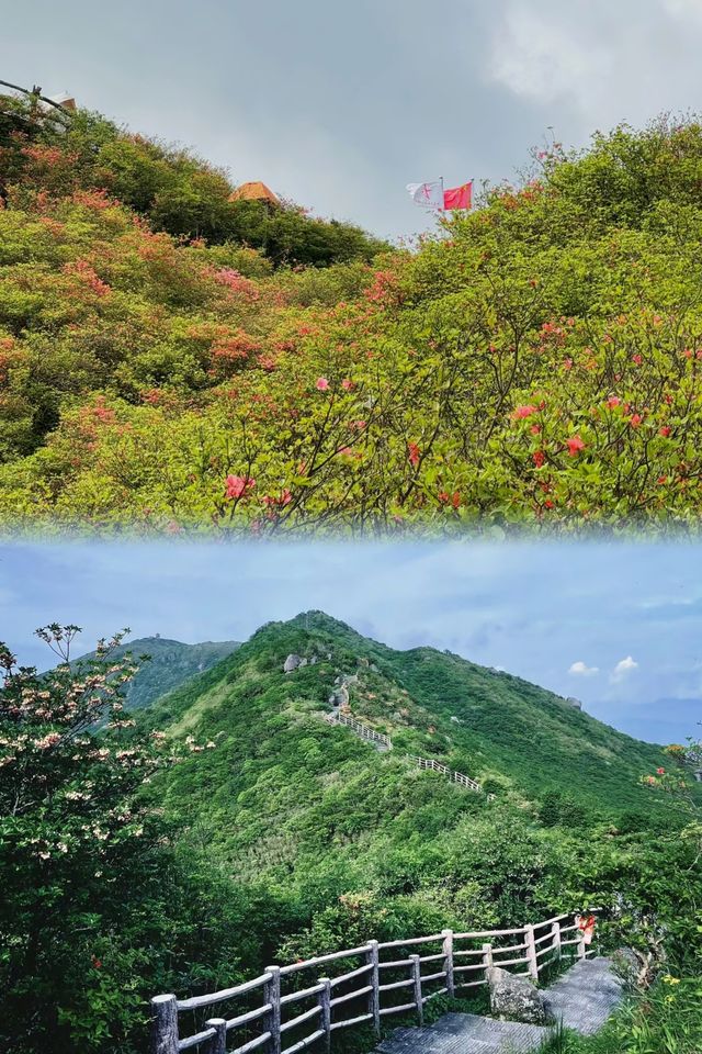 爬山日記|大圍山(長沙周邊遊)。