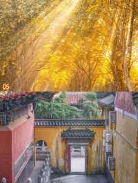 接下來的武漢,這10個地方可謂賞秋天花板。