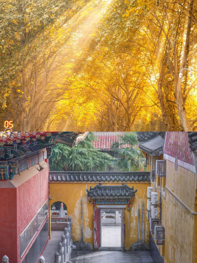 接下來的武漢,這10個地方可謂賞秋天花板。