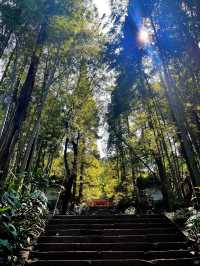 成都眉山｜青神中岩寺｜李白寫詩蘇東坡談愛的地方。
